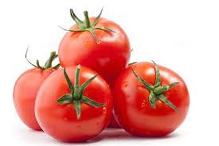 Tomate 