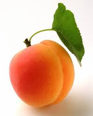 Abricot 