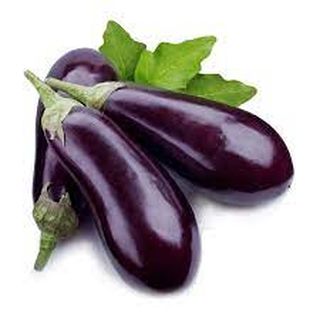 Aubergine 