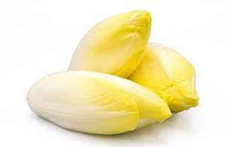 Endive 