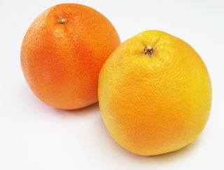 Pamplemousse (France)