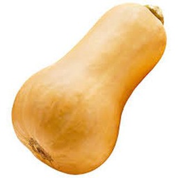 [DB03084] Butternut (Portugal)