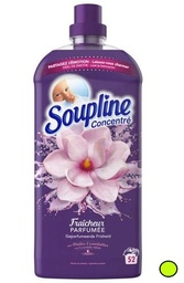 [RC16217] Soupline concentrée 1,2l - LIMITE A 4 CARTONS